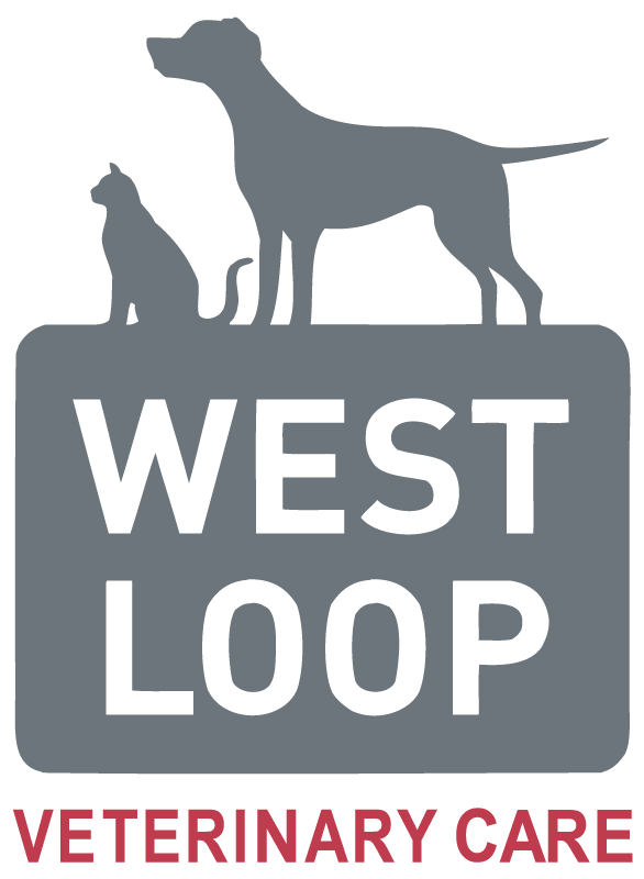 West Loop Veterinary Care Main Logo