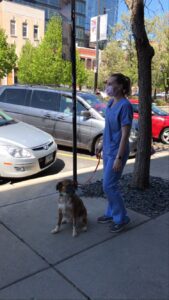 veterinary technician and a dog standing outside of the animal hospital