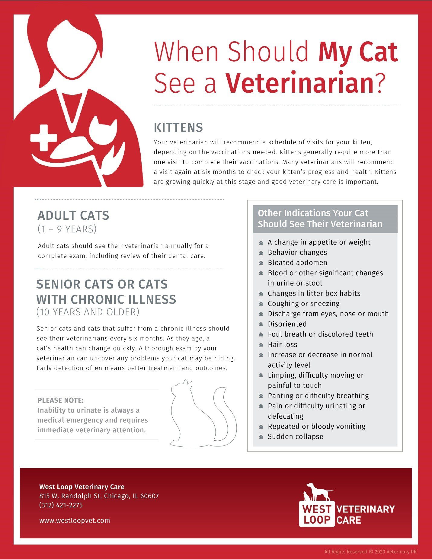 Take Your Cat to the Vet Day! West Loop Veterinary Care