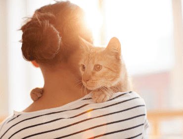 Cat hugging owner