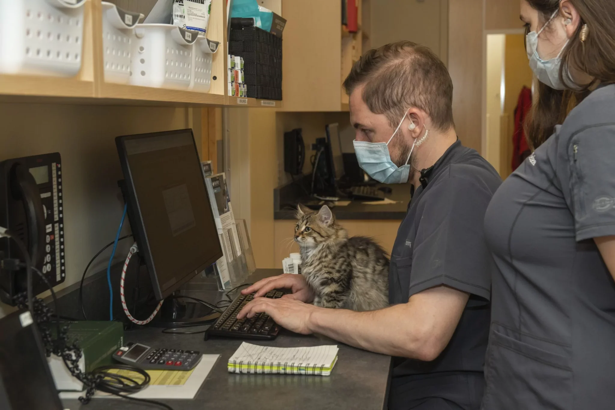 Veterinary Blog in Chicago, IL | West Loop Veterinary Care