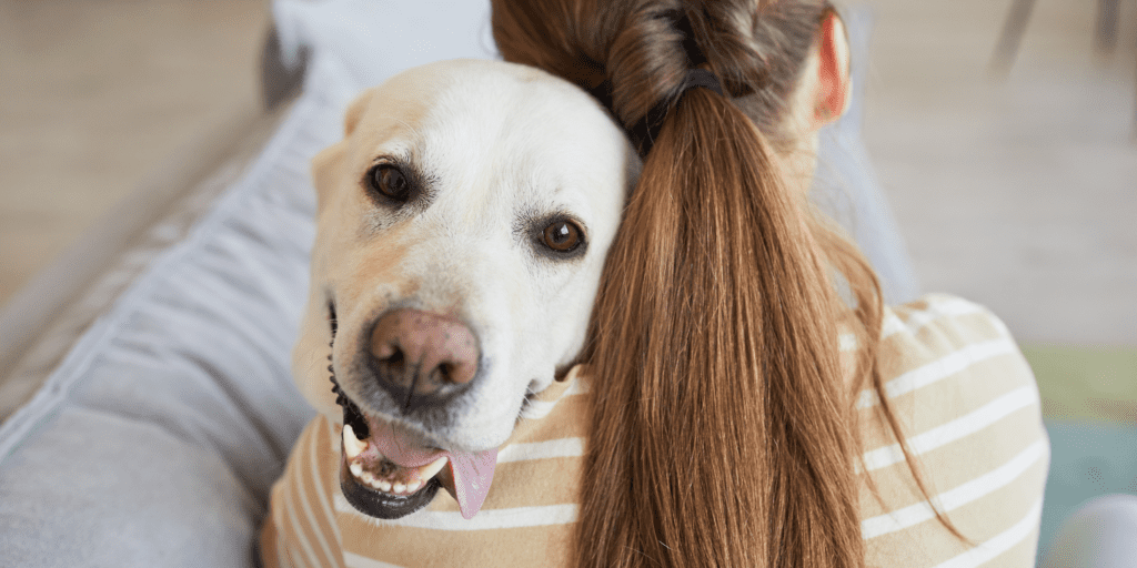 Pets and Emotional Well-Being: A Powerful Connection Pets and Emotional Well-Being: A Powerful Connection