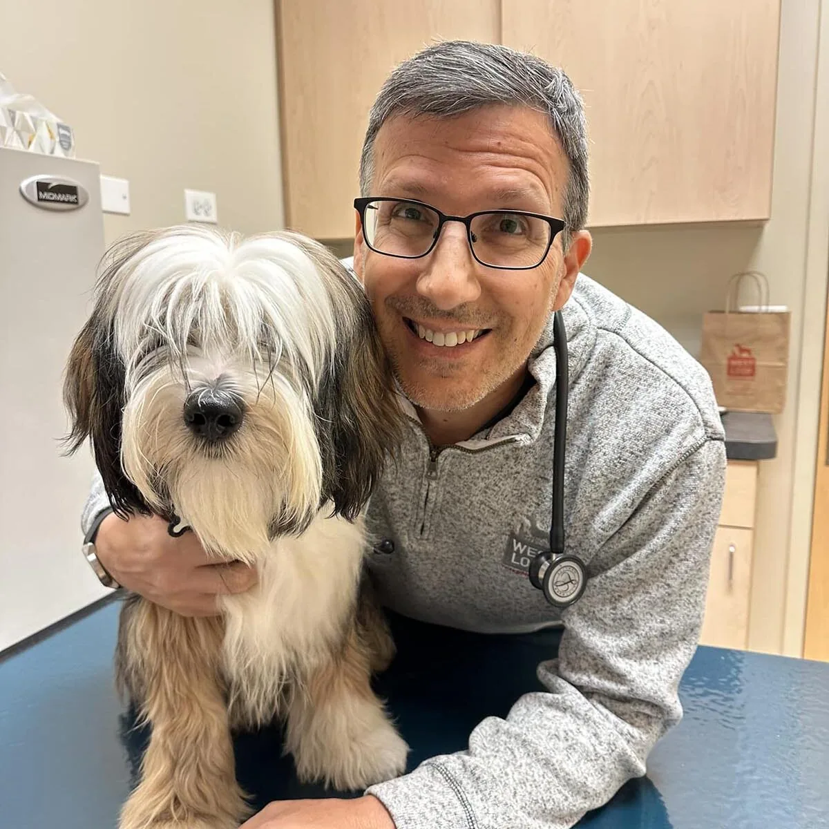 Doctor With Shaggy Dog